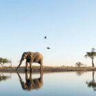 Fun Things to Do with Kids This Summer