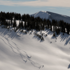 Fun Things to Do with Kids This Summer